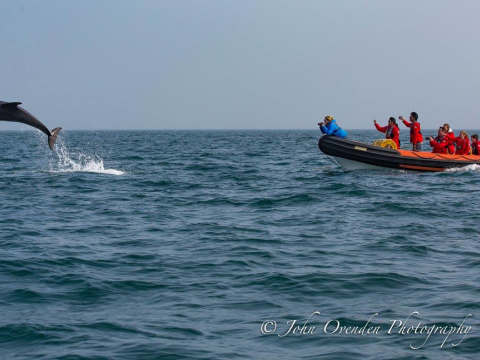 Island RIB Voyages