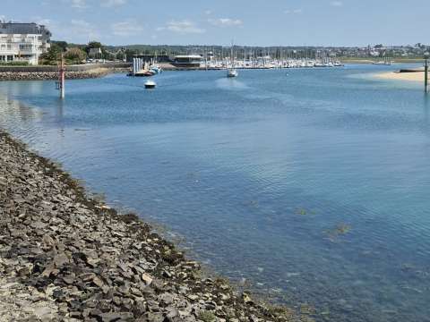 Island RIB Voyages
