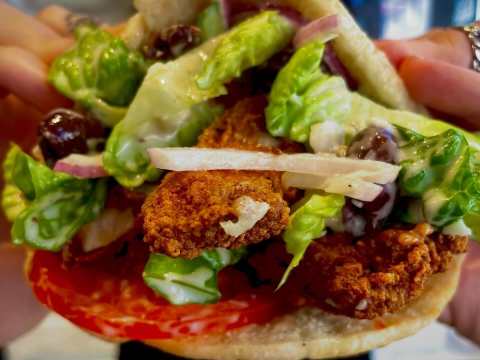 chicken causer pitta