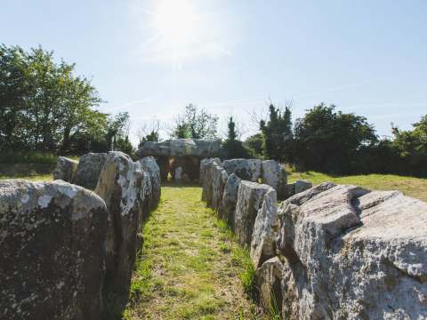 Passage graves at La Pouquelaye de Faldouet
