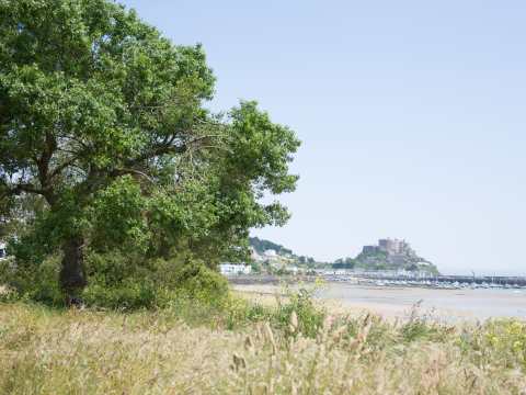 Gorey
