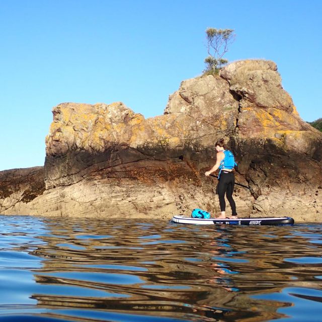 paddle boarder near rock