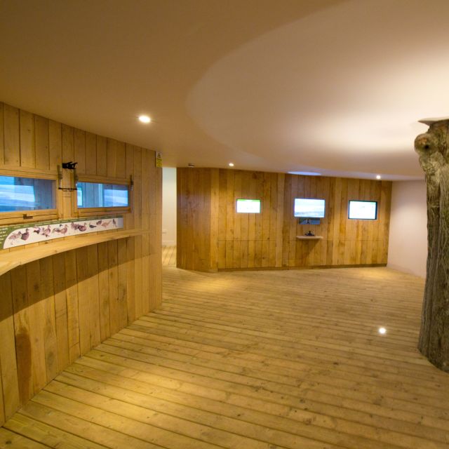 The National Trust for Jersey Wetland Centre