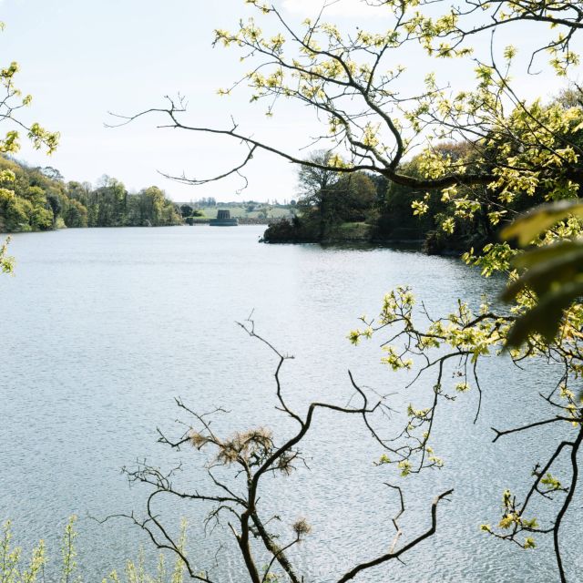 Viewpoint through the trees overlooking Queen