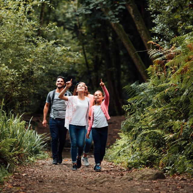 Family admire the rural landscape in St. Catherine