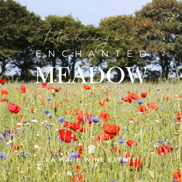meadow at la mare