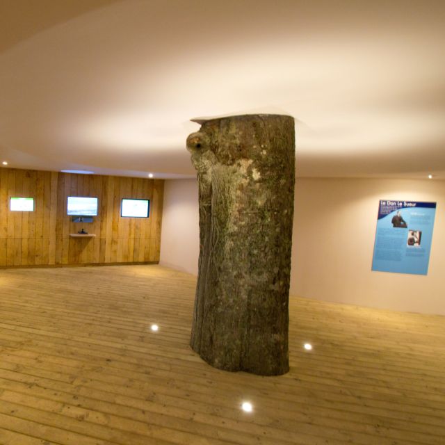 The National Trust for Jersey Wetland Centre