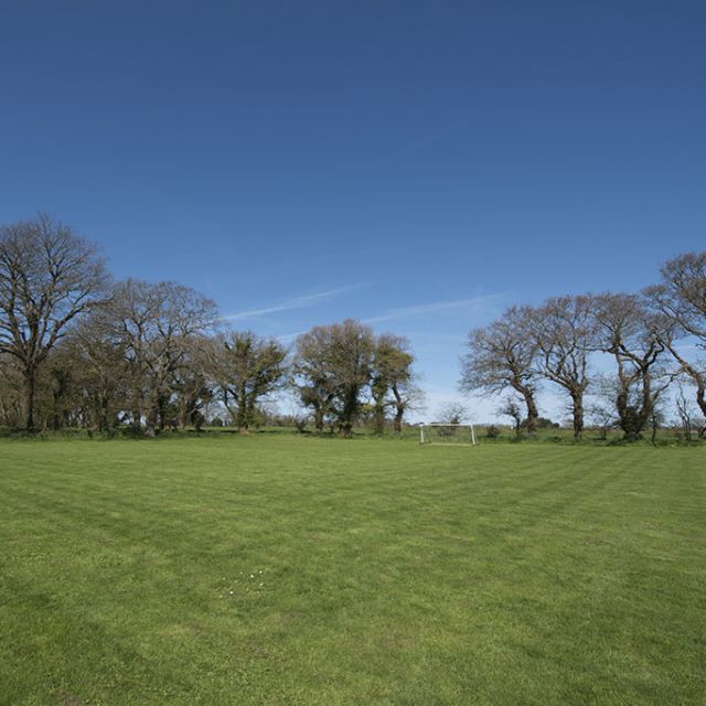 Playing fields
