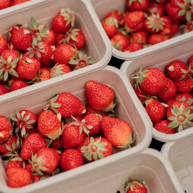 Freshly picked local strawberries in Jersey