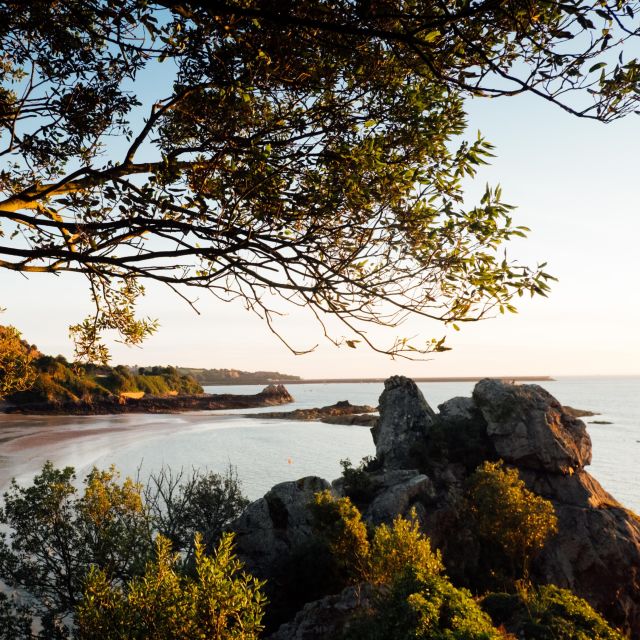 Anne Port Bay in Autumn