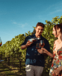 La Mare Wine Estate Tour and Tasting Experiences