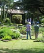 The grounds of Jersey Lavender