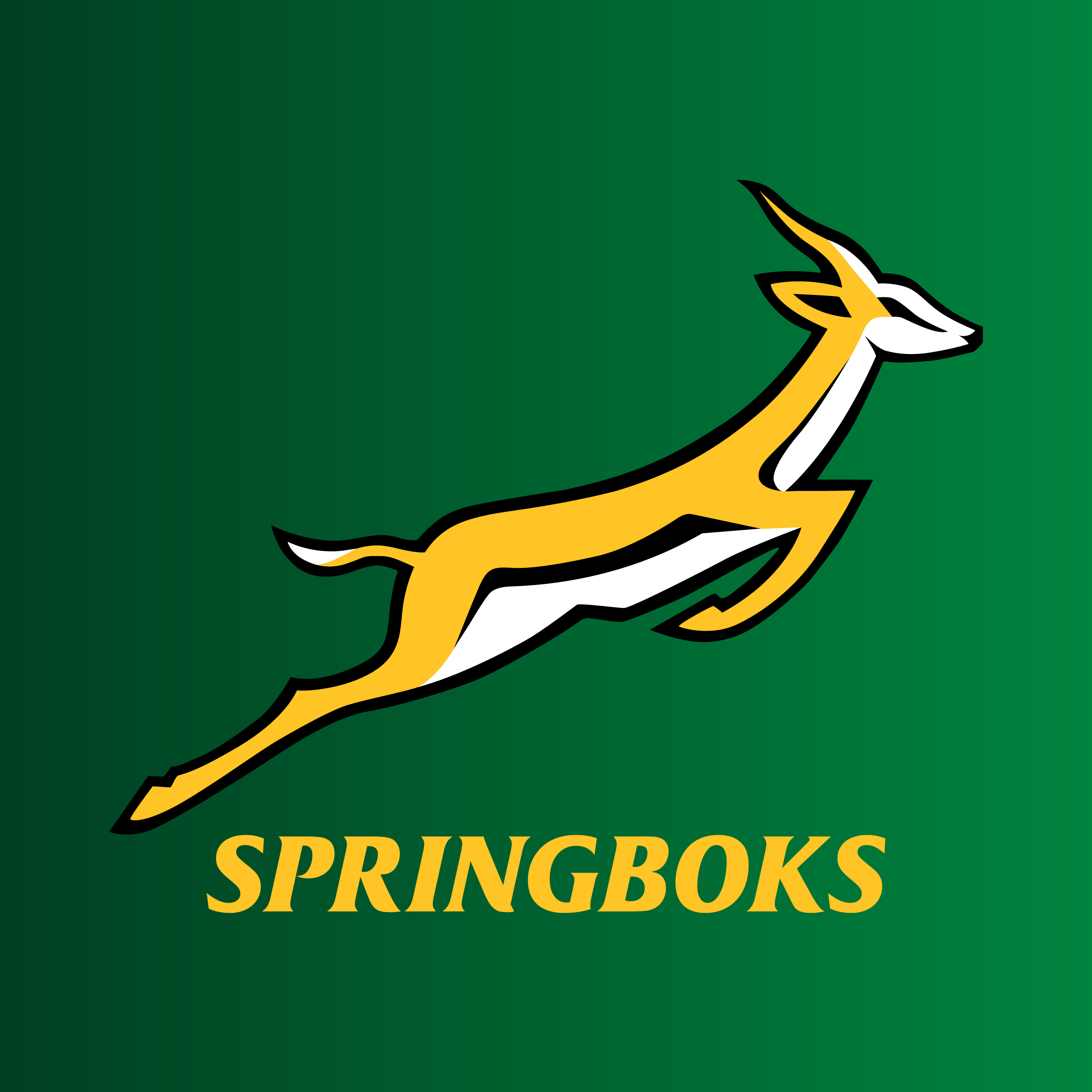Springboksinspired Competition Visit Jersey