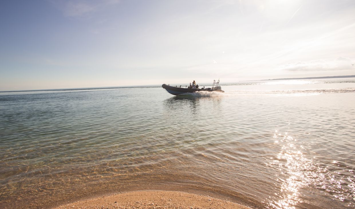 A RIB boat speeding along the sea