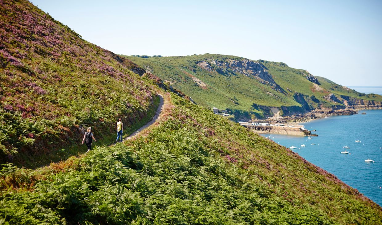 Two people walking on the north coast cliff paths in Jersey in the Channel Islands