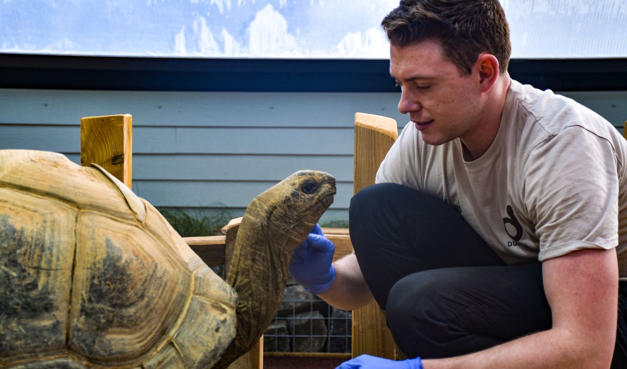 James, the keeper with Helen the tortoise.