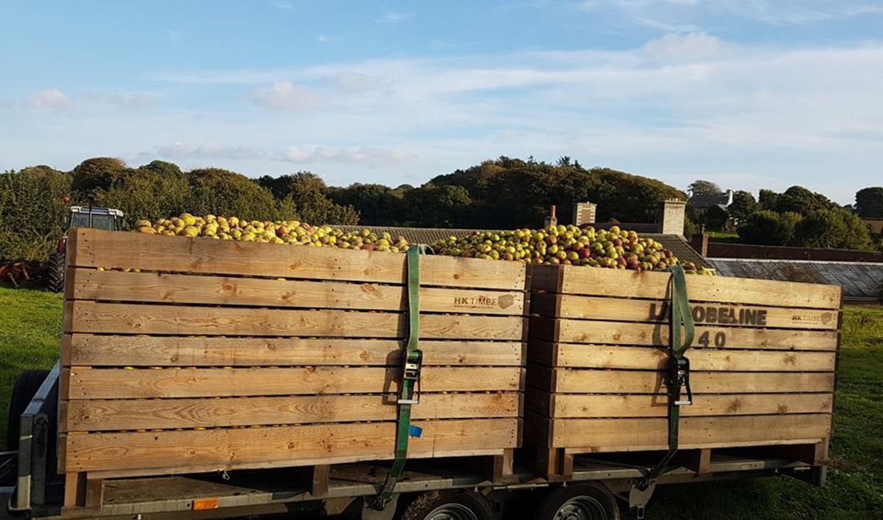 A picture of a wooden wagon in a field full of cider apples with "La Robeline" written on the side.