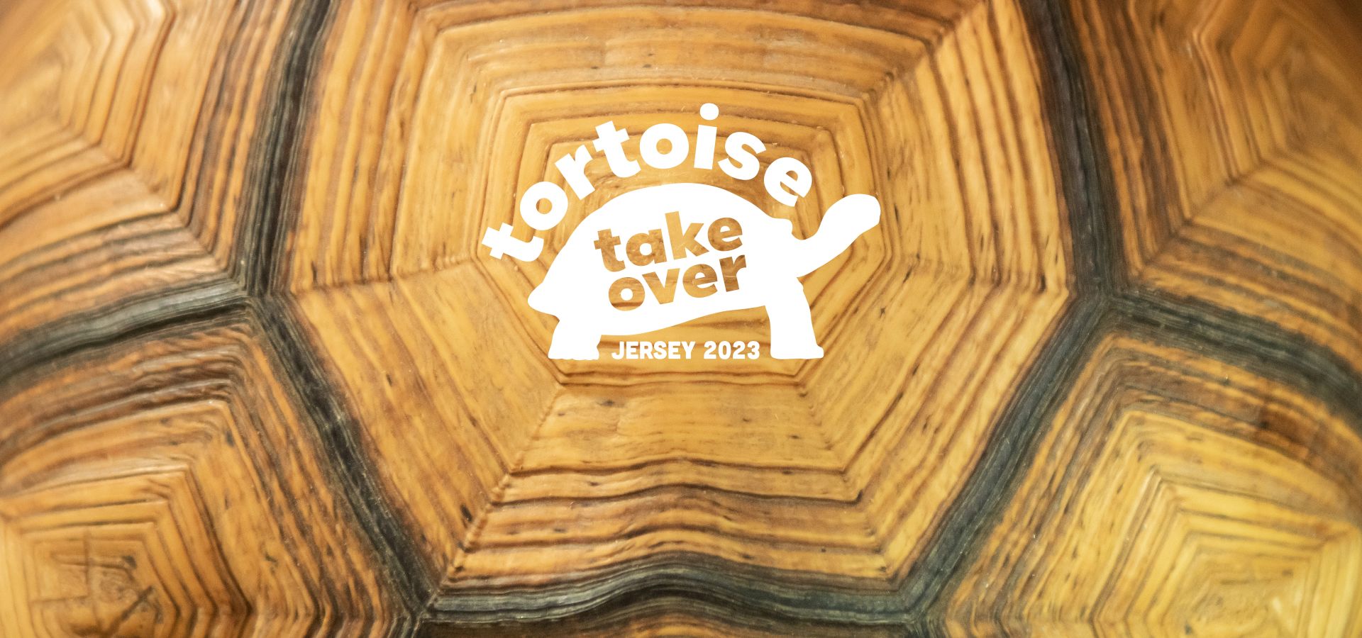 Tortoise shell with tortoise takeover logo