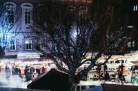 Tree with fairy lights and a Christmas stalls