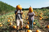 people holding pumpkin in front of head in a pumpkin field
