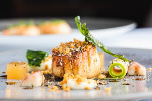 A plate of beautifully presented food at Bohemia restaurant