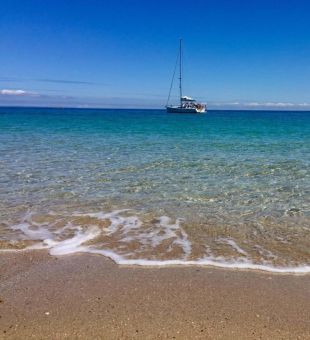 Catamaran on the water