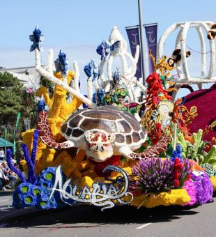 float from the battle of flowers