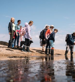 A seabed walk with Jersey Walk Adventures