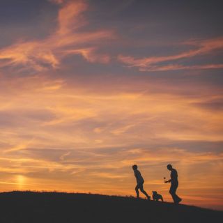 Couple walking their dog at sunrise