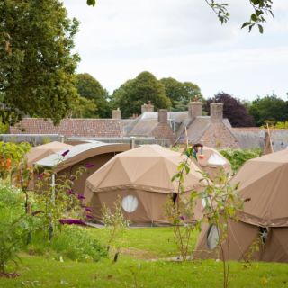 Glamping pods at Jersey Zoo