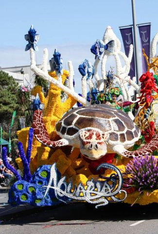 float from the battle of flowers