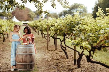 Two female friends enjoy a glass of rose wine in the vineyard at La Mare Wine Estate