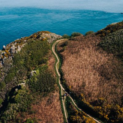 Pathway along a coastal cliff path