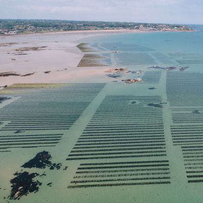Oyster beds under the turquoise waters of low tide
