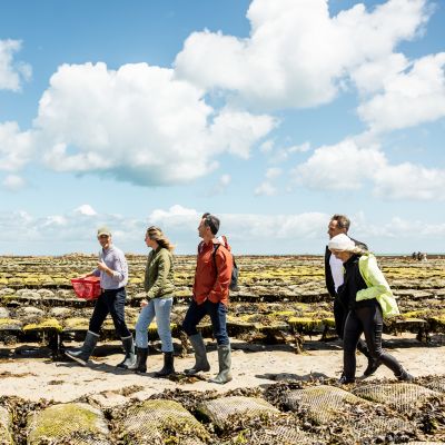 Group walking through oysterbeds