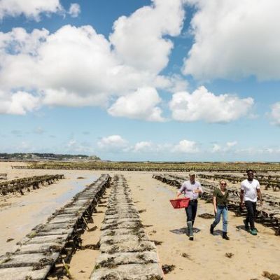 2 men and one woman touring Oyster beds