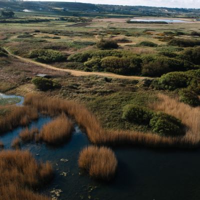Les Mielles Nature Reserve Pond
