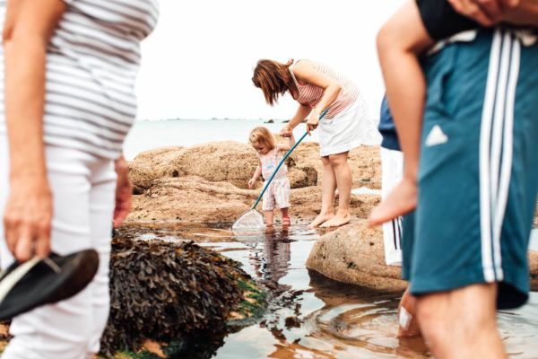 Family rock pooling at low tide