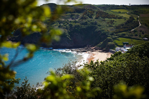 North coast Jersey cliff paths