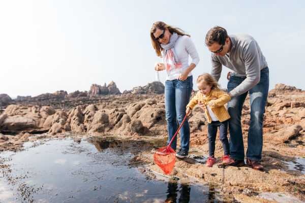 family rock pooling