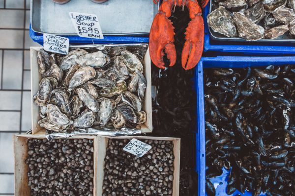 Crates of seafood at the fish market