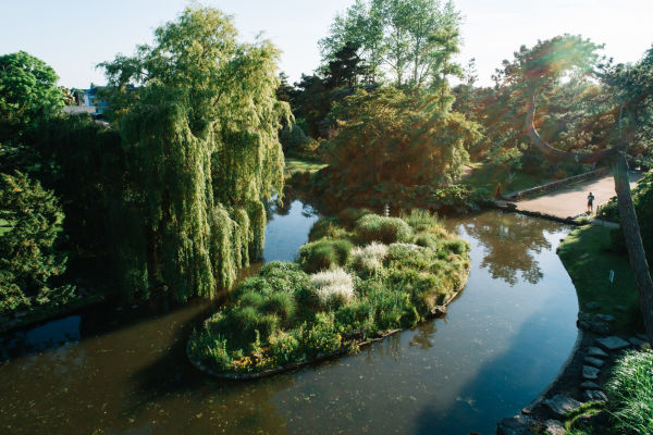 Pond and trees at Samares Manor, Jersey