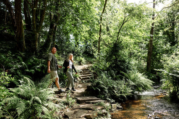 Couple walking in the woods