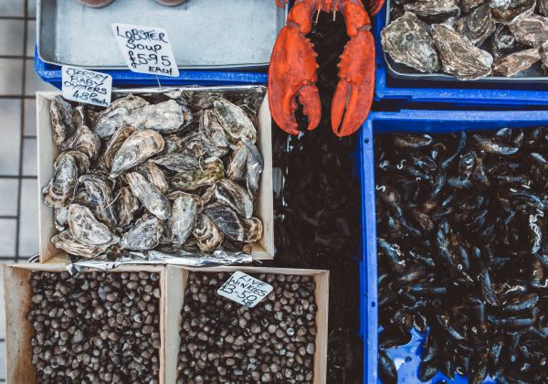 Crates of seafood at the fish market