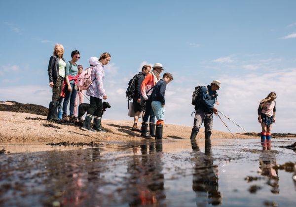 A groups of walkers at low tide on a seabed walk with Jersey Walk Adventures