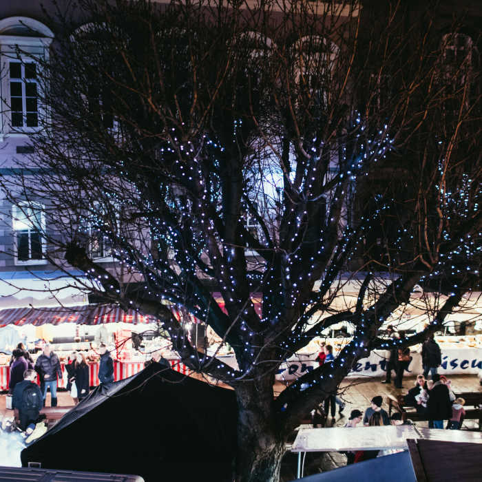 Tree with fairy lights and a Christmas stalls