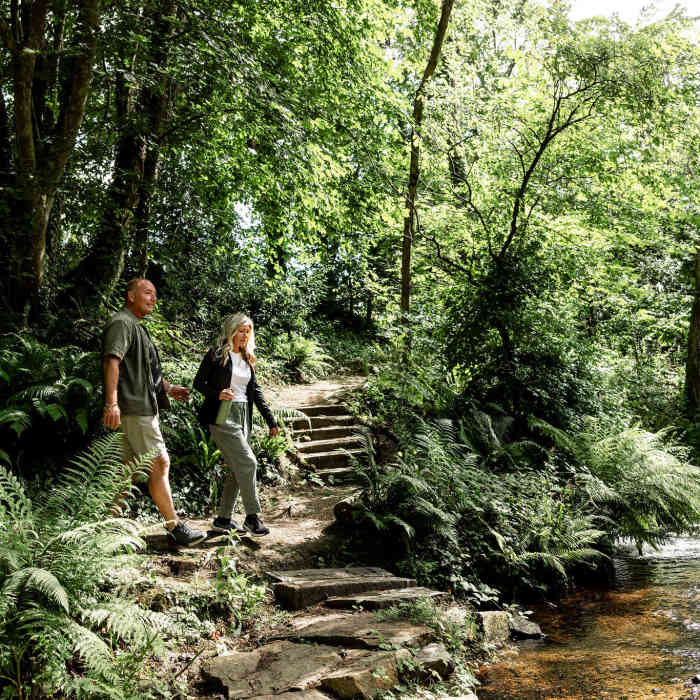A couple walking through a woodland area
