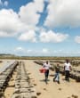 2 men and one woman touring Oyster beds